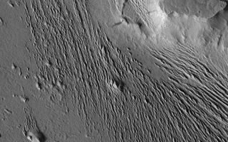 <h1>PIA00800:  Medusae Fossae #1</h1><div class="PIA00800" lang="en" style="width:573px;text-align:left;margin:auto;background-color:#000;padding:10px;max-height:150px;overflow:auto;">Extensive wind-swept plains of the Medusae Fossae formation on Mars. This northern subframe image, frame 3104, is of a 3.0 x 4.7 km area centered near 2.4 degrees north, 163.8 degrees west.<p>Figure caption from Science Magazine<br /><br /><a href="http://photojournal.jpl.nasa.gov/catalog/PIA00800" onclick="window.open(this.href); return false;" title="Voir l'image 	 PIA00800:  Medusae Fossae #1	  sur le site de la NASA">Voir l'image 	 PIA00800:  Medusae Fossae #1	  sur le site de la NASA.</a></div>