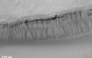 <h1>PIA01032:  Evidence for Recent Liquid Water on Mars:"Weeping" Layer in Gorgonum Chaos</h1><div class="PIA01032" lang="en" style="width:712px;text-align:left;margin:auto;background-color:#000;padding:10px;max-height:150px;overflow:auto;"><a href="/figures/moc2_235b.gif"></a><p>This image, acquired by the Mars Global Surveyor (MGS) Mars Orbiter Camera (MOC) in May 2000 shows numerous examples of martian gullies that all start--or head--in a specific layer roughly a hundred meters beneath the surface of Mars. These features are located on the south-facing wall of a trough in the Gorgonum Chaos region, an area found to have many examples of gullies proposed to have formed by seepage and runoff of liquid water in recent martian times.<p>The layer from which the gullies emanate has recessed backward to form an overhang beneath a harder layer of rock. The larger gullies have formed an alcove--an area above the overhang from which debris has collapsed to leave a dark-toned scar. Below the layer of seepage is found a dark, narrow channel that runs down the slope to an apron of debris. The small, bright, parallel features at the base of the cliff at the center-right of the picture is a series of large windblown ripples.<p>Although the dark tone of the alcoves and channels in this image is not likely to be the result of wet ground (the contrast in this image has been enhanced), it does suggest that water has seeped out of the ground and moved down the slope quite recently. Sharp contrasts between dark and light areas are hard to maintain on Mars for very long periods of time because dust tends to coat surfaces and reduce brightness differences. To keep dust from settling on a surface, it has to have undergone some process of erosion (wind, landslides, water runoff) relatively recently. There is no way to know how recent this activity was, but educated guesses center between a few to tens of years, and it is entirely possible that the area shown in this image has water seeping out of the ground today.<p>Centered near 37.9°S, 170.2°W, sunlight illuminates the MOC image from the upper left, north is toward the upper right. The context view above is from the Viking 1 orbiter and was acquired in 1977. The Viking picture is illuminated from the upper right; north is up. The small white box in the context frame shows the location of the high resolution MOC view.<br /><br /><a href="http://photojournal.jpl.nasa.gov/catalog/PIA01032" onclick="window.open(this.href); return false;" title="Voir l'image 	 PIA01032:  Evidence for Recent Liquid Water on Mars:"Weeping" Layer in Gorgonum Chaos	  sur le site de la NASA">Voir l'image 	 PIA01032:  Evidence for Recent Liquid Water on Mars:"Weeping" Layer in Gorgonum Chaos	  sur le site de la NASA.</a></div>