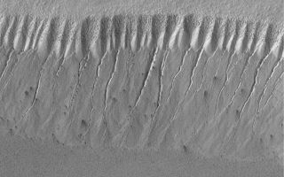 <h1>PIA01034:  Evidence for Recent Liquid Water on Mars: Gullies at 70°S in Polar Pit Walls</h1><div class="PIA01034" lang="en" style="width:800px;text-align:left;margin:auto;background-color:#000;padding:10px;max-height:150px;overflow:auto;"><p><a href="/figures/moc2_237b.gif"></a><p>Gully landforms proposed to have been caused by geologically-recent seepage and runoff of liquid water on Mars are found in the most unlikely places. They typically occur in areas that are quite cold--well below freezing--all year round. Like the old adage about moss on trees, nearly all of them form on slopes that face away from sunlight. Most of the gullies occur at latitudes between 30° and 70°.<p>The highest latitude at which martian gullies have been found is around 70°-75°S on the walls of pits developed in the south polar pitted plains. If you were at this same latitude on Earth, you would be in Antarctica. This region spends much of the winter--which lasts approximately 6 months on Mars--in darkness and at temperatures cold enough to freeze carbon dioxide (around -130°C or -200°F). Nevertheless, gullies with very sharp, deep, v-shaped channels are seen on the pit walls (above, left).<p>Based upon the locations of the tops of the channels on the slope shown here, the inferred site of liquid seepage is located at a layer in the pit wall about 1/3 of the way down from the top of the MOC image. The channels start wide and taper downslope. The area above the channels is layered and has been eroded by mass movement--dry avalanching of debris--to form a pattern of chutes and ridges on the upper slope of the pit wall. The top layer appears to have many boulders in it (each about the size of a small house), these boulders are left behind on the upper slopes of the pit wall as debris is removed.<p>Centered near 70.7°S, 355.7°W, the MOC image was acquired July 14, 1999, and covers an area approximately 2.8 km (1.7 mi) wide by 2.1 km (1.3 mi) high. Sunlight illuminates the MOC image from the upper left and north is toward the upper left. The context view (right) is from the Viking 2 orbiter and was acquired in 1977. The Viking picture is illuminated from the top/upper left; north is toward the upper right. The small white box in the context frame (upper right corner) shows the location of the high resolution MOC view.<br /><br /><a href="http://photojournal.jpl.nasa.gov/catalog/PIA01034" onclick="window.open(this.href); return false;" title="Voir l'image 	 PIA01034:  Evidence for Recent Liquid Water on Mars: Gullies at 70°S in Polar Pit Walls	  sur le site de la NASA">Voir l'image 	 PIA01034:  Evidence for Recent Liquid Water on Mars: Gullies at 70°S in Polar Pit Walls	  sur le site de la NASA.</a></div>