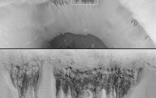 <h1>PIA01036:  Evidence for Recent Liquid Water on Mars: Seepage Sites in "Aerobraking Crater" Revisited</h1><div class="PIA01036" lang="en" style="width:800px;text-align:left;margin:auto;background-color:#000;padding:10px;max-height:150px;overflow:auto;">(A)<br><a href="/figures/moc2_239a.gif"></a>(B)<br><a href="/figures/moc2_239b.gif"></a>(C)<br><a href="/figures/moc2_239d.gif"><a>(D)<br><br>You will need 3D glasses to view this anaglyph<p>The first clue that there might be places on Mars where liquid groundwater seeps out onto the surface came from a picture taken by the Mars Global Surveyor (MGS) Mars Orbiter Camera (MOC) during the pre-mapping Orbit Insertion Phase of the mission. The picture, shown in (A) above, was taken at the end of December 1997 while the spacecraft was still in the midst of aerobraking maneuvers to put it into the circular orbit needed for the Mapping Phase of the project. The Aerobraking 1 image, AB1-07707, showed dark, v-shaped scars on the western wall of a 50 kilometer-(31 mile)-diameter impact crater in southern Noachis Terra at 65°S, 15°W (see B, above, for context). The v-shaped features taper downslope to form narrow, somewhat curved channels. The relationship seen here was interpreted by MOC scientists to be similar to seepage landforms on Earth that form where springs emerge on a slope and water runs downhill.<p>Once MGS achieved its Mapping Orbit in March 1999, the MOC was in a better position to take pictures of 10 times higher resolution than the Aerobraking AB1-07707 image. The opportunity to take a new picture of the proposed "seepage" sites on the wall of the crater in southern Noachis finally arose in January 2000. The result is MOC image M11-00530, shown above in (top) and (C). This new close-up shows that the darkly-shaped scars host many small channels of only a few meters (yards) across. These small channels run downslope and coalesce at the apex (or point) of each "v." Amid the small channels are many large boulders, some of them the size of houses, that have eroded out of the crater wall. A 3-D view created using the AB1 and M11 images is shown in (D). The stereo picture (red-blue "3D" glasses required) emphasizes the presence of small channels and valleys, and shows that these valleys start almost at the very top of the v-shaped dark areas.<p>The context picture in (B) is a mosaic of Viking 2 orbiter images 497B47 and 497B48 acquired December 28, 1977. The Aerobraking MGS MOC image, AB1-07707, is shown overlain on the Viking context image; it was taken 20 years later on December 29, 1997. The smaller white box in the context picture shows the location of MOC Mapping Phase image M11-00530, roughly 2 years later on January 4, 2000. North is "up" in pictures (A) and (B), and to the lower right in (top), (C), and (D). Sunlight illuminates (A) from the upper left, (B) from the upper right, and (top) and (C) from the upper right. The top image in (top) is the aerobraking image, AB1-07707, with a white box indicating the location of the lower image, M11-00530, and the stereo pair in (D). The white box on the left in (C) shows the location of the close-up on the right in (C).<br /><br /><a href="http://photojournal.jpl.nasa.gov/catalog/PIA01036" onclick="window.open(this.href); return false;" title="Voir l'image 	 PIA01036:  Evidence for Recent Liquid Water on Mars: Seepage Sites in "Aerobraking Crater" Revisited	  sur le site de la NASA">Voir l'image 	 PIA01036:  Evidence for Recent Liquid Water on Mars: Seepage Sites in "Aerobraking Crater" Revisited	  sur le site de la NASA.</a></div>