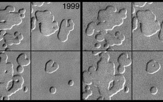 <h1>PIA03179:  MOC Observes Changes in the South Polar Cap: Evidence for Recent Climate Change on Mars</h1><div class="PIA03179" lang="en" style="width:800px;text-align:left;margin:auto;background-color:#000;padding:10px;max-height:150px;overflow:auto;"><p>Compare each image on the left with their counterparts on the right. Small hills vanished and pit walls expanded between 1999 and 2001. The pits are formed in frozen carbon dioxide, and the carbon dioxide is subliming away a little more each Martian year. Sunlight illuminates each of the four different scenes from the upper left.<p><a href="/figures/PIA03179_anim.gif">CLICK HERE</a> for animation of all 4 of these panels (6.2 MBytes).<p>One of the most profound benefits of being able to continue photographing Mars in the Mars Global Surveyor (MGS) Extended Mission is the opportunity to go back and re-image a site that was seen in the previous martian year. New MGS Mars Orbiter Camera (MOC) images have provided a startling observation: The residual martian south polar cap is changing. The fact that it is changing suggests that Mars may have major, global climate changes that are occurring on the same time scales as Earth's most recent climate shifts, including the last Ice Age.<p>MOC images of the south polar cap taken in 1999 were compared with images of the same locations taken in 2001, and it was discovered that pits had enlarged, mesas had shrunk, and small buttes had vanished. In all, the scarps that enclose the pits and bound the mesas and buttes retreated about 3 meters (3.3 yards) in 1 martian year (687 Earth days). This rapid retreat of polar scarps can only occur if the ice is frozen carbon dioxide (also known as "dryice"). Retreat of scarps made of water ice is much slower and would not have been measurable from one martian year to the next.<p>The portion of the martian south polar cap that persists through summer is called the residual polar cap. The two sets of four pictures shown here are from four places on the residual south polar cap. The pictures from 1999 were taken in October of that year, the corresponding pictures from 2001 were acquired in August, approximately 1 Mars year after the 1999 images were obtained. In each case, the pictures are illuminated by sunlight from the upper left, and each shows an area about 250 meters (273 yards) across. The polarcap is layered, and the layers have eroded to form pits, troughs, mesas, and buttes. The pits form as sunlight warms frozen carbon dioxide during southern spring and summer, and the ice sublimes away. There is so much carbon dioxide that it does not all go away in one summer--in fact, it may take hundreds to thousands of years to disappear.<p>These new observations indicate that the south polar residual cap is not permanent. It is disappearing, a little bit more each southern spring and summer season. At the present rate, a layer 3 m thick can be completely eroded away in a few tens of martian years. Since each layer is equivalent to about 1% of the mass of the present atmosphere (which is 95% carbon dioxide), if sufficient carbon dioxide is buried in the south polar cap, the mass of the atmosphere could double in a few hundred to a thousand Mars years. That could lead to profound changes in the environment. For example, it would change how much and where wind erosion would occur, and where and for how long liquid water could survive at or near the surface.<p>It also means that Mars may have been very different in the recent past (perhaps only a few thousands of years ago). On today's Mars, the ice is eroding, but in the past that material had to have been deposited. The martian climate was probably colder, and there was more carbon dioxide in the atmosphere. For some reason, large amounts of carbon dioxide froze at the south pole--one might say that there was a "Martian Ice Age"--and this freezing occurred on a time scale similar to that of the most recent Ice Age on Earth.<p>Mars is changing, and it is changing on a time scale that we can measure and observe. If all of the carbon dioxide that is being released into the atmosphere from the south polar cap is not freezing out somewhere else, and if it is not being adsorbed into the martian soil, then it must be causing the atmospheric pressure to increase. If this so, and if one were to assume that the entire known volume of the polar cap is made of carbon dioxide that sublimes at the same rate we see today, then it could increase the martian atmospheric pressure by as much as 10 times, to about 1/10th the density of Earth's atmosphere, in just the next few thousand years. Although this atmosphere would not be breathable, carbon dioxide is a "greenhouse gas" that would cause the global temperature to increase considerably and make it easier for liquid water to persist elsewhere on the planet. Perhaps, just perhaps, a thickening martian atmosphere would eventually make it easier for people to live on Mars.<br /><br /><a href="http://photojournal.jpl.nasa.gov/catalog/PIA03179" onclick="window.open(this.href); return false;" title="Voir l'image 	 PIA03179:  MOC Observes Changes in the South Polar Cap: Evidence for Recent Climate Change on Mars	  sur le site de la NASA">Voir l'image 	 PIA03179:  MOC Observes Changes in the South Polar Cap: Evidence for Recent Climate Change on Mars	  sur le site de la NASA.</a></div>