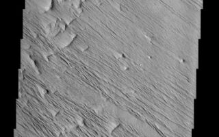 <h1>PIA04036:  Yardangs near Olympus Mons</h1><div class="PIA04036" lang="en" style="width:488px;text-align:left;margin:auto;background-color:#000;padding:10px;max-height:150px;overflow:auto;"><p><a href="/figures/PIA04036_context.jpg"></a><br><p>In this region of the Olympus Mons aureole, located to the SW of the volcano, the surface has been eroded by the wind into linear landforms called yardangs. These ridges generally point in direction of the prevailing winds that carved them, in this case winds from the southeast. Yardangs typically occur on surfaces that are easily erodable, such as wind-blown dust or volcanic ash. The northeast - southwest trending ridges and valleys in the northwest corner of the image are typical of the Olympus Mons aureole. The varying concentration and shape of the yardangs in this area may be controlled by the motion of winds around these topographic features.<p>Some crater outlines are visible near the top of this image. The rims of these craters appear to have been stripped away - indicating that the wind erosion is younger than these craters. There are two round knobs in the image, one on the bottom on the right side of the image and another about midway down on the left. These may be inverted craters, formed because the impacts caused materials underneath the crater to become harder to erode than the surrounding materials.<p>Note: this THEMIS visual image has not been radiometrically nor geometrically calibrated for this preliminary release. An empirical correction has been performed to remove instrumental effects. A linear shift has been applied in the cross-track and down-track direction to approximate spacecraft and planetary motion. Fully calibrated and geometrically projected images will be released through the Planetary Data System in accordance with Project policies at a later time.<p>NASA's Jet Propulsion Laboratory manages the 2001 Mars Odyssey mission for NASA's Office of Space Science, Washington, D.C. The Thermal Emission Imaging System (THEMIS) was developed by Arizona State University, Tempe, in collaboration with Raytheon Santa Barbara Remote Sensing. The THEMIS investigation is led by Dr. Philip Christensen at Arizona State University. Lockheed Martin Astronautics, Denver, is the prime contractor for the Odyssey project, and developed and built the orbiter. Mission operations are conducted jointly from Lockheed Martin and from JPL, a division of the California Institute of Technology in Pasadena.<p><br /><br /><a href="http://photojournal.jpl.nasa.gov/catalog/PIA04036" onclick="window.open(this.href); return false;" title="Voir l'image 	 PIA04036:  Yardangs near Olympus Mons	  sur le site de la NASA">Voir l'image 	 PIA04036:  Yardangs near Olympus Mons	  sur le site de la NASA.</a></div>