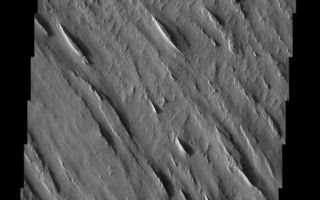 <h1>PIA04464:  Medusae Fossae Yardangs</h1><div class="PIA04464" lang="en" style="width:488px;text-align:left;margin:auto;background-color:#000;padding:10px;max-height:150px;overflow:auto;"><p><a href="/figures/PIA04464_context.jpg"></a><br><p>Released 15 April 2003<p>The Medusae Fossae formation is an enigmatic pile of eroding sediments that spans over 5000 km in discontinuous masses along the martian equator. The yardang ridges, formed from the scouring action of windblown sand, are a characteristic feature of this formation. In this image, there is evidence for a period of erosion when winds scoured the surface at nearly right angles to the prominent yardang direction.<p>Note: this THEMIS visual image has not been radiometrically nor geometrically calibrated for this preliminary release. An empirical correction has been performed to remove instrumental effects. A linear shift has been applied in the cross-track and down-track direction to approximate spacecraft and planetary motion. Fully calibrated and geometrically projected images will be released through the Planetary Data System in accordance with Project policies at a later time.<p>NASA's Jet Propulsion Laboratory manages the 2001 Mars Odyssey mission for NASA's Office of Space Science, Washington, D.C. The Thermal Emission Imaging System (THEMIS) was developed by Arizona State University, Tempe, in collaboration with Raytheon Santa Barbara Remote Sensing. The THEMIS investigation is led by Dr. Philip Christensen at Arizona State University. Lockheed Martin Astronautics, Denver, is the prime contractor for the Odyssey project, and developed and built the orbiter. Mission operations are conducted jointly from Lockheed Martin and from JPL, a division of the California Institute of Technology in Pasadena.<p>Image information: VIS instrument. Latitude -5.1, Longitude 184.4 East (175.6 West). 19 meter/pixel resolution.<p><br /><br /><a href="http://photojournal.jpl.nasa.gov/catalog/PIA04464" onclick="window.open(this.href); return false;" title="Voir l'image 	 PIA04464:  Medusae Fossae Yardangs	  sur le site de la NASA">Voir l'image 	 PIA04464:  Medusae Fossae Yardangs	  sur le site de la NASA.</a></div>