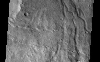 <h1>PIA04673:  Crenulated Lava Flows of Daedalia Planum</h1><div class="PIA04673" lang="en" style="width:466px;text-align:left;margin:auto;background-color:#000;padding:10px;max-height:150px;overflow:auto;"><p /><a href="/figures/PIA04673_context.jpg"></a><br /><p />Released 1 August 2003<p />Younger crenulated lava flows of Daedalia Planum lap up against the ancient highlands. The crenulated ridges are most likely pressure ridges. Several small channels can be seen in the highlands.<p />Image information: VIS instrument. Latitude -37.1, Longitude 221.8 East (138.2 West). 19 meter/pixel resolution.<p />Note: this THEMIS visual image has not been radiometrically nor geometrically calibrated for this preliminary release. An empirical correction has been performed to remove instrumental effects. A linear shift has been applied in the cross-track and down-track direction to approximate spacecraft and planetary motion. Fully calibrated and geometrically projected images will be released through the Planetary Data System in accordance with Project policies at a later time. <p />NASA's Jet Propulsion Laboratory manages the 2001 Mars Odyssey mission for NASA's Office of Space Science, Washington, D.C. The Thermal Emission Imaging System (THEMIS) was developed by Arizona State University, Tempe, in collaboration with Raytheon Santa Barbara Remote Sensing. The THEMIS investigation is led by Dr. Philip Christensen at Arizona State University. Lockheed Martin Astronautics, Denver, is the prime contractor for the Odyssey project, and developed and built the orbiter. Mission operations are conducted jointly from Lockheed Martin and from JPL, a division of the California Institute of Technology in Pasadena.<br /><br /><a href="http://photojournal.jpl.nasa.gov/catalog/PIA04673" onclick="window.open(this.href); return false;" title="Voir l'image 	 PIA04673:  Crenulated Lava Flows of Daedalia Planum	  sur le site de la NASA">Voir l'image 	 PIA04673:  Crenulated Lava Flows of Daedalia Planum	  sur le site de la NASA.</a></div>