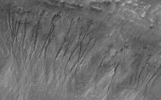 <h1>PIA05935:  Gullies in Noachis</h1><div class="PIA05935" lang="en" style="width:800px;text-align:left;margin:auto;background-color:#000;padding:10px;max-height:150px;overflow:auto;"><p>16 May 2004<br />This full-resolution (1.5 m/pixel; 5 ft/pixel) Mars Global Surveyor (MGS) Mars Orbiter Camera (MOC) image shows gullies on a crater wall in northern Noachis Terra. The gullies might have formed by the seepage of martian groundwater or melting of ice. However, the Mars science community is still studying this topic and no consensus has yet emerged as to whether such gullies could have formed without water. These gullies are located near 32.1°S, 12.9°W. The 300 meter scale bar also equals 328 yards (984 feet). The picture is illuminated by sunlight from the left/upper left.</p><br /><br /><a href="http://photojournal.jpl.nasa.gov/catalog/PIA05935" onclick="window.open(this.href); return false;" title="Voir l'image 	 PIA05935:  Gullies in Noachis	  sur le site de la NASA">Voir l'image 	 PIA05935:  Gullies in Noachis	  sur le site de la NASA.</a></div>