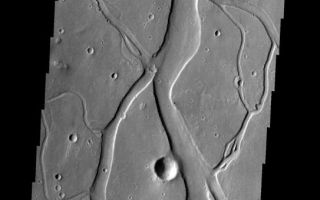 <h1>PIA07164:  Hebrus Vallis</h1><div class="PIA07164" lang="en" style="width:543px;text-align:left;margin:auto;background-color:#000;padding:10px;max-height:150px;overflow:auto;"><p><a href="/figures/PIA07164_fig1.jpg"> </a><br /><p>This image shows a portion of Hebrus Vallis, a channel system located south of Granicus Vallis. Like Granicus Vallis, Hebrus Vallis originates close to the base of the Elysium volcanic complex. The crisscrossing of channels seen in the image is not typical for fluvial systems, indicating that this channel system was likely formed by volcanic activity.</p><p>Image information: VIS instrument. Latitude 20.8, Longitude 125.9 East (234.1 West). 19 meter/pixel resolution.</p><p>Note: this THEMIS visual image has not been radiometrically nor geometrically calibrated for this preliminary release. An empirical correction has been performed to remove instrumental effects. A linear shift has been applied in the cross-track and down-track direction to approximate spacecraft and planetary motion. Fully calibrated and geometrically projected images will be released through the Planetary Data System in accordance with Project policies at a later time.</p><p>NASA's Jet Propulsion Laboratory manages the 2001 Mars Odyssey mission for NASA's Office of Space Science, Washington, D.C. The Thermal Emission Imaging System (THEMIS) was developed by Arizona State University, Tempe, in collaboration with Raytheon Santa Barbara Remote Sensing. The THEMIS investigation is led by Dr. Philip Christensen at Arizona State University. Lockheed Martin Astronautics, Denver, is the prime contractor for the Odyssey project, and developed and built the orbiter. Mission operations are conducted jointly from Lockheed Martin and from JPL, a division of the California Institute of Technology in Pasadena.</p><br /><br /><a href="http://photojournal.jpl.nasa.gov/catalog/PIA07164" onclick="window.open(this.href); return false;" title="Voir l'image 	 PIA07164:  Hebrus Vallis	  sur le site de la NASA">Voir l'image 	 PIA07164:  Hebrus Vallis	  sur le site de la NASA.</a></div>