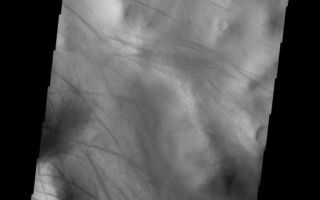 <h1>PIA10159:  Dust Devil Tracks</h1><div class="PIA10159" lang="en" style="width:569px;text-align:left;margin:auto;background-color:#000;padding:10px;max-height:150px;overflow:auto;"><p><a href="/figures/PIA10159_fig1.jpg"></a><br><b>Context image for PIA10159<br />Dust Devil Tracks</b></p><p>The dust devil tracks in this VIS image are located along Nia Vallis. The Argyre Basin is located to the northwest of this image.<p>Image information: VIS instrument. Latitude -59.7N, Longitude 325.7E. 17 meter/pixel resolution.</p><p>Please see the <a href="http://themis.asu.edu/terms" target="_blank">THEMIS Data Citation Note</a> for details on crediting THEMIS images.</p><p>Note: this THEMIS visual image has not been radiometrically nor geometrically calibrated for this preliminary release. An empirical correction has been performed to remove instrumental effects. A linear shift has been applied in the cross-track and down-track direction to approximate spacecraft and planetary motion. Fully calibrated and geometrically projected images will be released through the Planetary Data System in accordance with Project policies at a later time.</p><p>NASA's Jet Propulsion Laboratory manages the 2001 Mars Odyssey mission for NASA's Office of Space Science, Washington, D.C. The Thermal Emission Imaging System (THEMIS) was developed by Arizona State University, Tempe, in collaboration with Raytheon Santa Barbara Remote Sensing. The THEMIS investigation is led by Dr. Philip Christensen at Arizona State University. Lockheed Martin Astronautics, Denver, is the prime contractor for the Odyssey project, and developed and built the orbiter. Mission operations are conducted jointly from Lockheed Martin and from JPL, a division of the California Institute of Technology in Pasadena.</p><br /><br /><a href="http://photojournal.jpl.nasa.gov/catalog/PIA10159" onclick="window.open(this.href); return false;" title="Voir l'image 	 PIA10159:  Dust Devil Tracks	  sur le site de la NASA">Voir l'image 	 PIA10159:  Dust Devil Tracks	  sur le site de la NASA.</a></div>